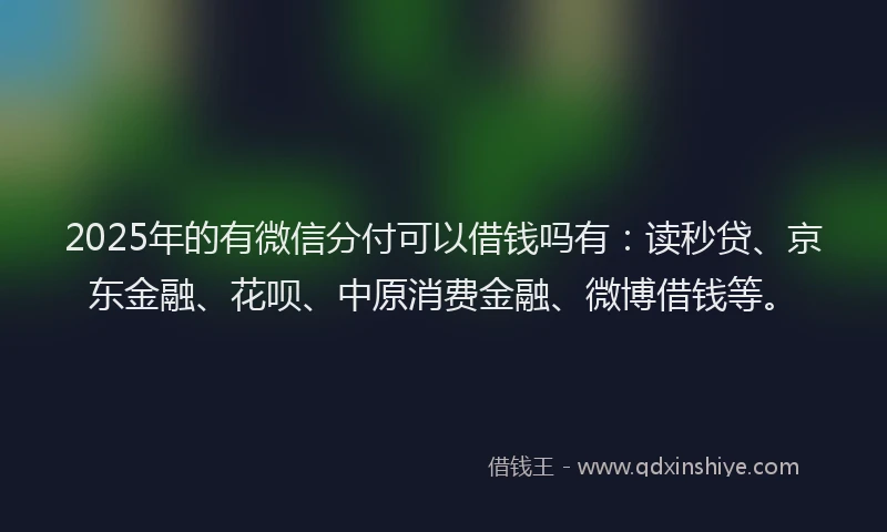 2025年的有微信分付可以借钱吗有：读秒贷、京东金融、花呗、中原消费金融、微博借钱等。