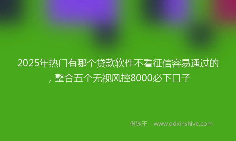 2025年热门有哪个贷款软件不看征信容易通过的，整合五个无视风控8000必下口子