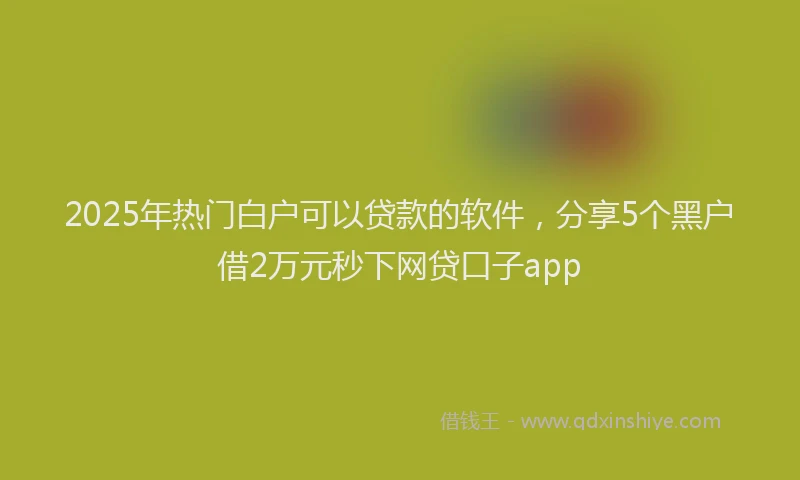 2025年热门白户可以贷款的软件，分享5个黑户借2万元秒下网贷口子app