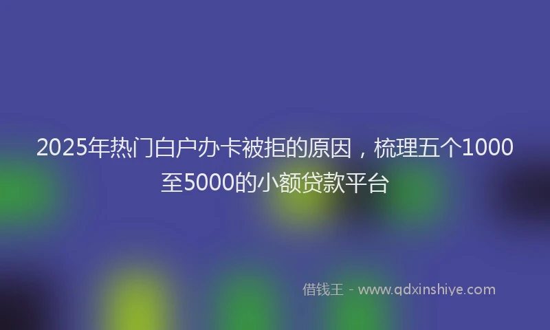 2025年热门白户办卡被拒的原因，梳理五个1000至5000的小额贷款平台