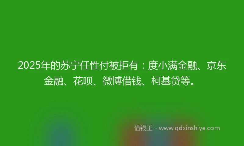 2025年的苏宁任性付被拒有：度小满金融、京东金融、花呗、微博借钱、柯基贷等。