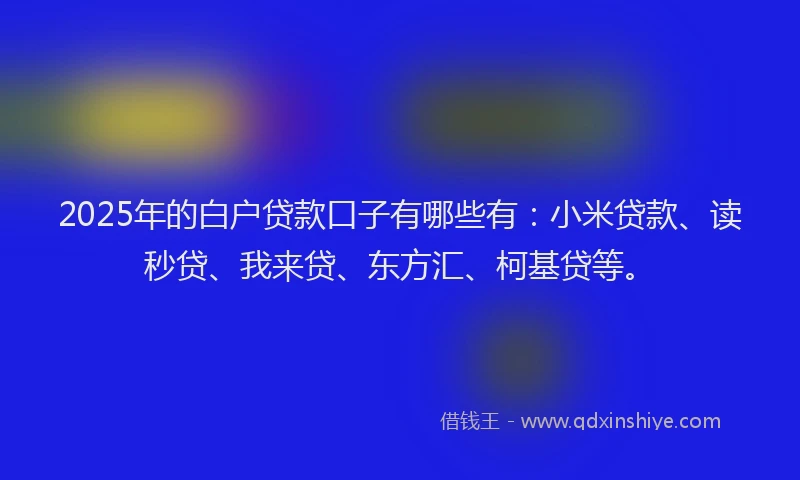 2025年的白户贷款口子有哪些有：小米贷款、读秒贷、我来贷、东方汇、柯基贷等。