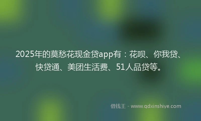 2025年的莫愁花现金贷app有：花呗、你我贷、快贷通、美团生活费、51人品贷等。