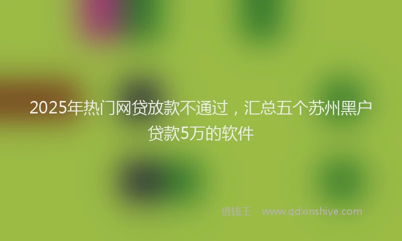 2025年热门网贷放款不通过，汇总五个苏州黑户贷款5万的软件