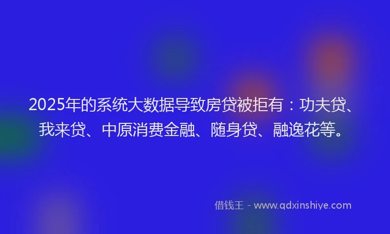 2025年的系统大数据导致房贷被拒有：功夫贷、我来贷、中原消费金融、随身贷、融逸花等。