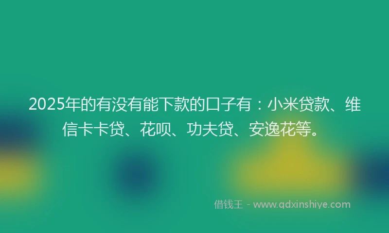 2025年的有没有能下款的口子有：小米贷款、维信卡卡贷、花呗、功夫贷、安逸花等。