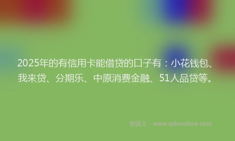 2025年的有信用卡能借贷的口子有：小花钱包、我来贷、分期乐、中原消费金融、51人品贷等。