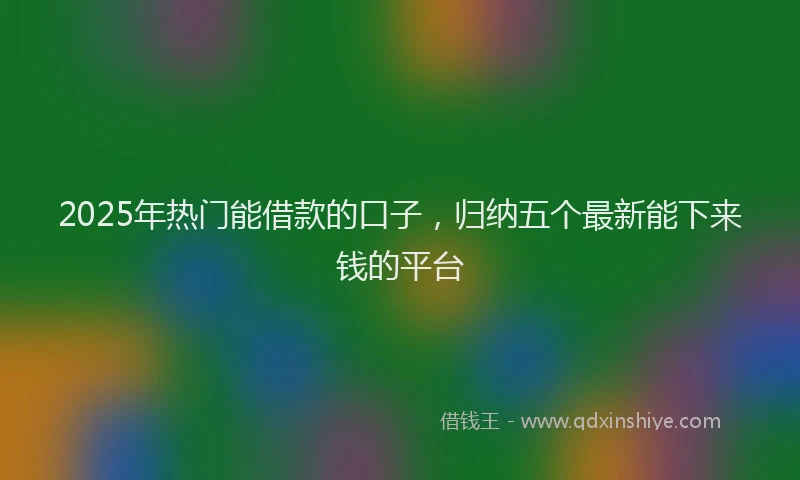 2025年热门能借款的口子，归纳五个最新能下来钱的平台