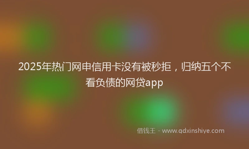 2025年热门网申信用卡没有被秒拒，归纳五个不看负债的网贷app
