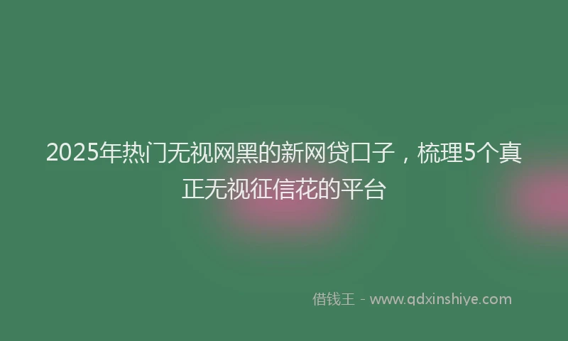 2025年热门无视网黑的新网贷口子，梳理5个真正无视征信花的平台