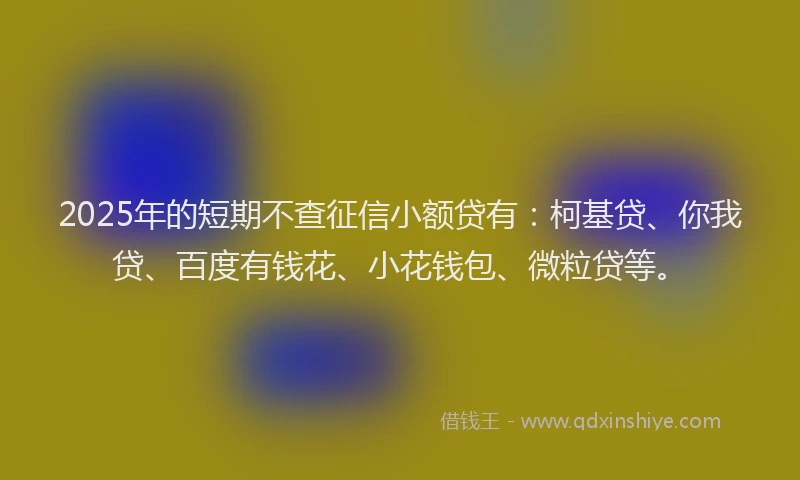 2025年的短期不查征信小额贷有：柯基贷、你我贷、百度有钱花、小花钱包、微粒贷等。