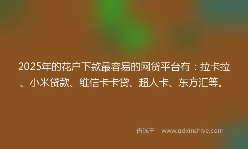 2025年的花户下款最容易的网贷平台有：拉卡拉、小米贷款、维信卡卡贷、超人卡、东方汇等。