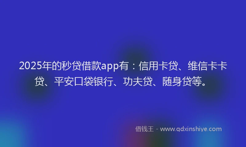2025年的秒贷借款app有：信用卡贷、维信卡卡贷、平安口袋银行、功夫贷、随身贷等。
