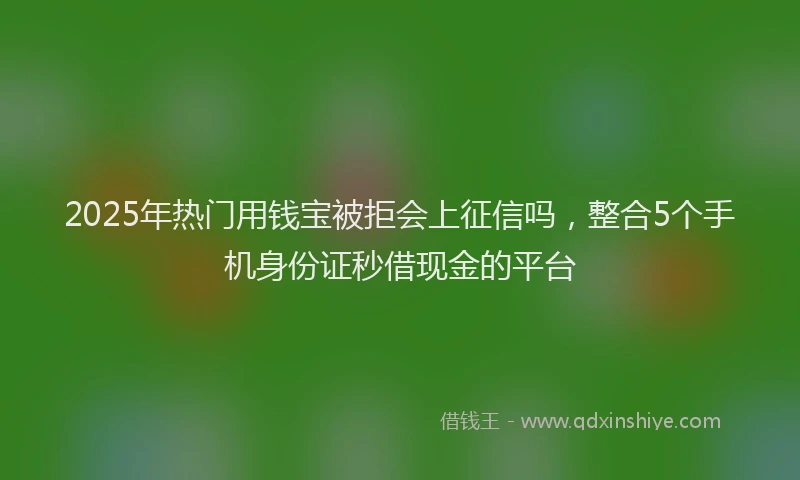 2025年热门用钱宝被拒会上征信吗，整合5个手机身份证秒借现金的平台