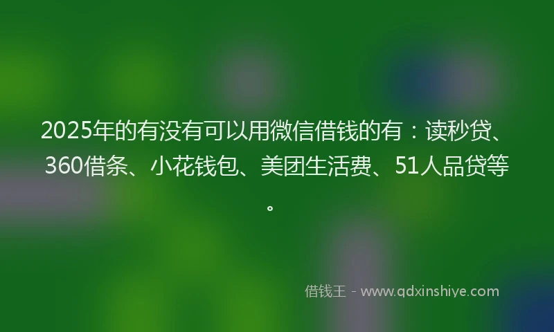 2025年的有没有可以用微信借钱的有：读秒贷、360借条、小花钱包、美团生活费、51人品贷等。