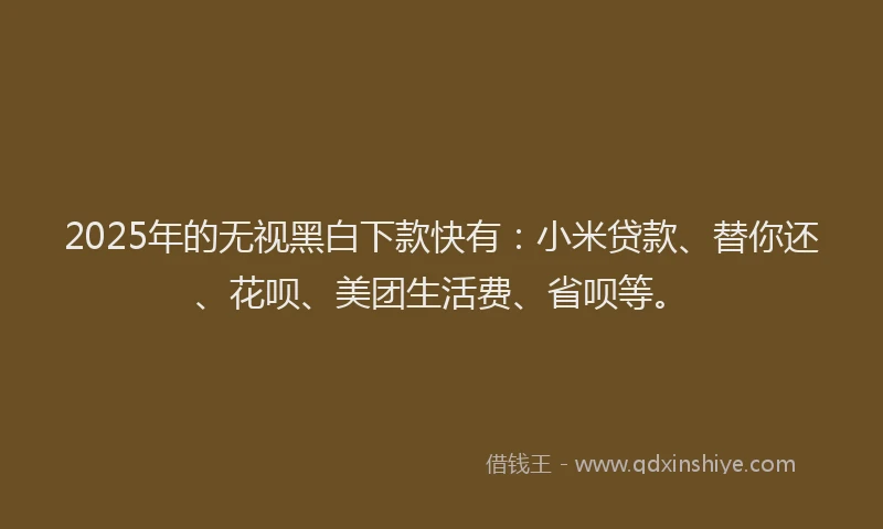 2025年的无视黑白下款快有：小米贷款、替你还、花呗、美团生活费、省呗等。