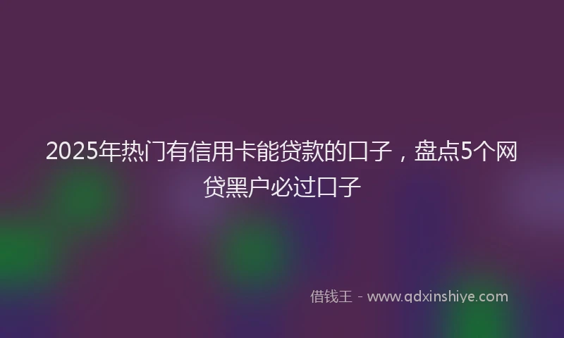 2025年热门有信用卡能贷款的口子，盘点5个网贷黑户必过口子
