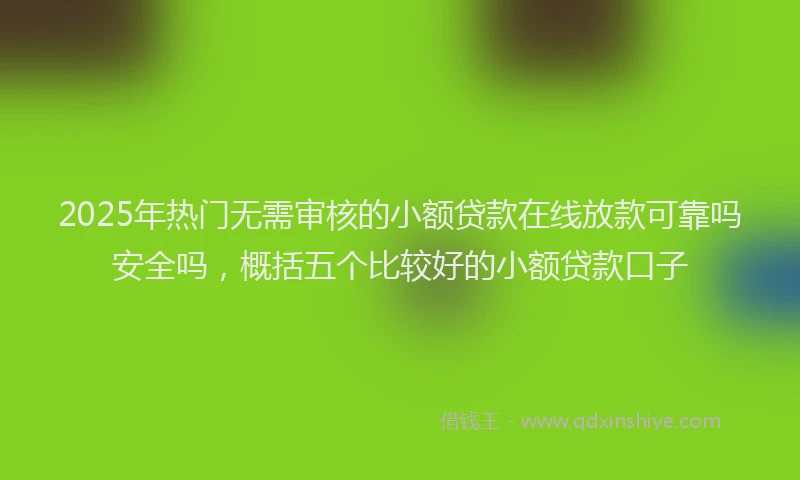 2025年热门无需审核的小额贷款在线放款可靠吗安全吗，概括五个比较好的小额贷款口子