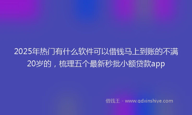 2025年热门有什么软件可以借钱马上到账的不满20岁的，梳理五个最新秒批小额贷款app