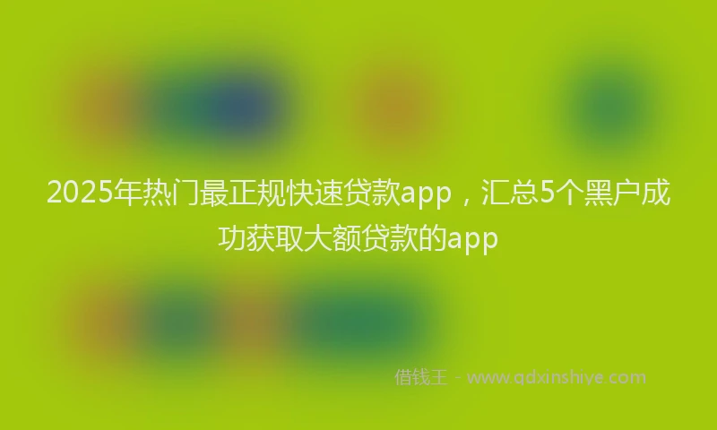 2025年热门最正规快速贷款app，汇总5个黑户成功获取大额贷款的app