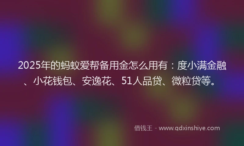 2025年的蚂蚁爱帮备用金怎么用有：度小满金融、小花钱包、安逸花、51人品贷、微粒贷等。