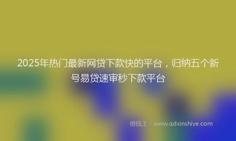2025年热门最新网贷下款快的平台，归纳五个新号易贷速审秒下款平台