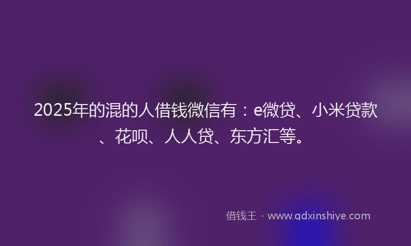 2025年的混的人借钱微信有：e微贷、小米贷款、花呗、人人贷、东方汇等。