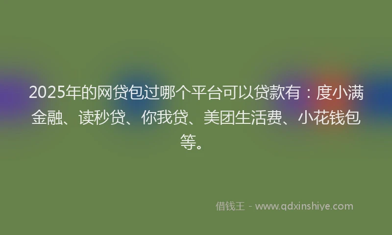 2025年的网贷包过哪个平台可以贷款有：度小满金融、读秒贷、你我贷、美团生活费、小花钱包等。