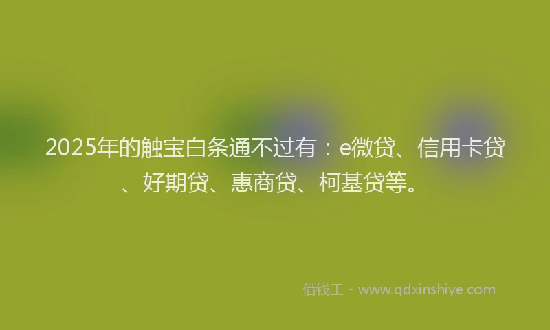 2025年的触宝白条通不过有：e微贷、信用卡贷、好期贷、惠商贷、柯基贷等。