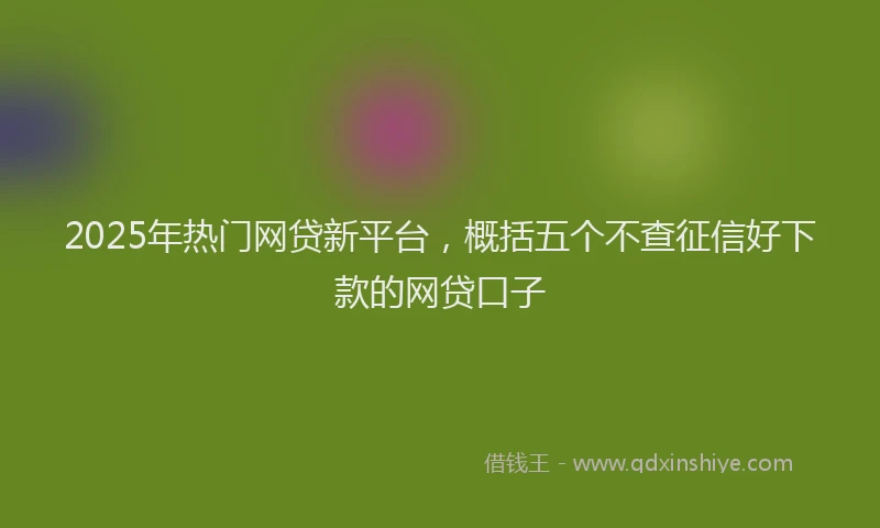 2025年热门网贷新平台，概括五个不查征信好下款的网贷口子