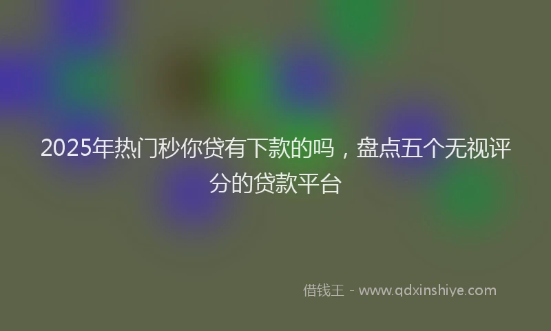 2025年热门秒你贷有下款的吗，盘点五个无视评分的贷款平台