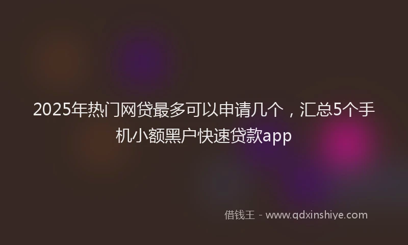 2025年热门网贷最多可以申请几个，汇总5个手机小额黑户快速贷款app