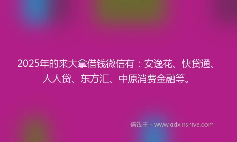 2025年的来大拿借钱微信有：安逸花、快贷通、人人贷、东方汇、中原消费金融等。