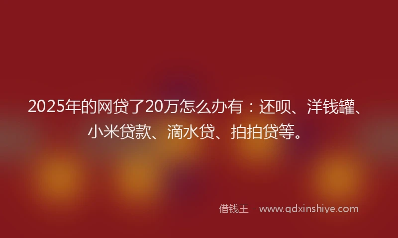 2025年的网贷了20万怎么办有：还呗、洋钱罐、小米贷款、滴水贷、拍拍贷等。