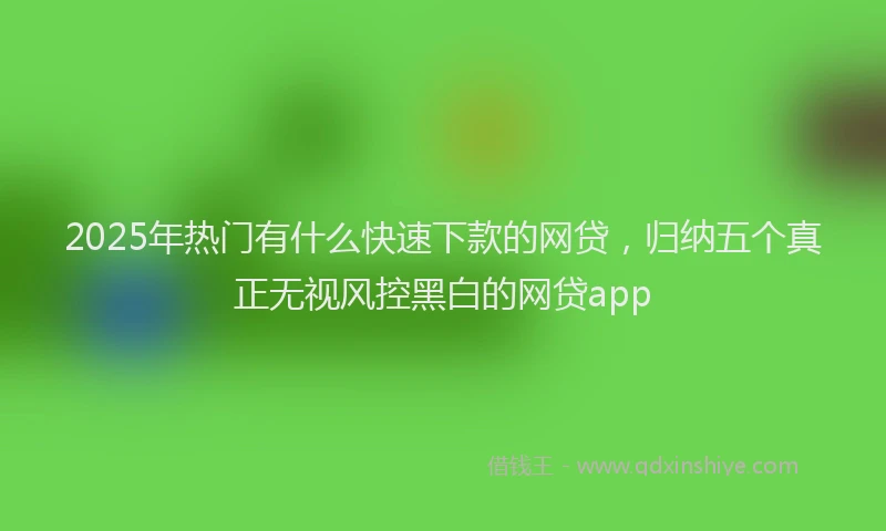 2025年热门有什么快速下款的网贷，归纳五个真正无视风控黑白的网贷app