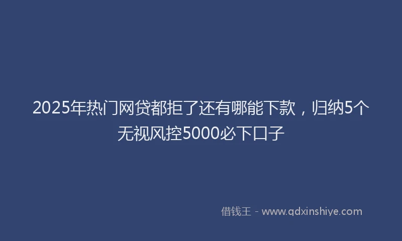 2025年热门网贷都拒了还有哪能下款，归纳5个无视风控5000必下口子