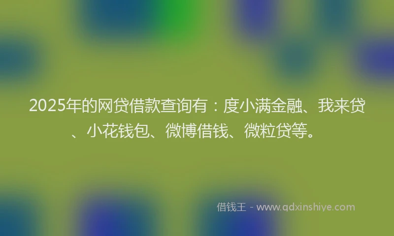 2025年的网贷借款查询有：度小满金融、我来贷、小花钱包、微博借钱、微粒贷等。