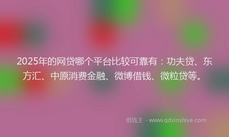 2025年的网贷哪个平台比较可靠有：功夫贷、东方汇、中原消费金融、微博借钱、微粒贷等。