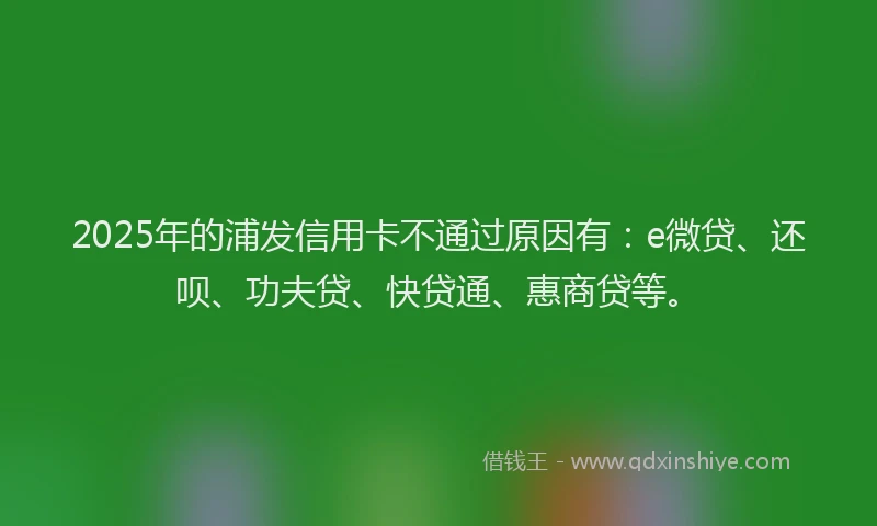 2025年的浦发信用卡不通过原因有：e微贷、还呗、功夫贷、快贷通、惠商贷等。
