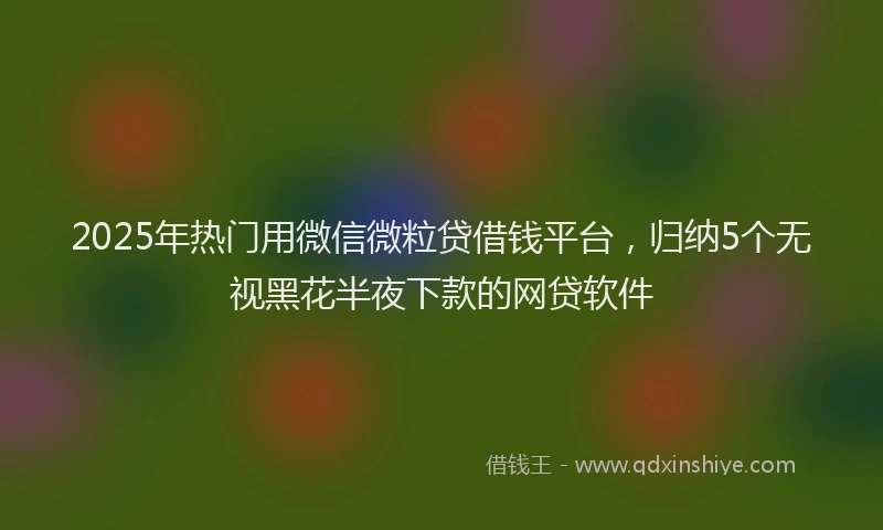 2025年热门用微信微粒贷借钱平台，归纳5个无视黑花半夜下款的网贷软件