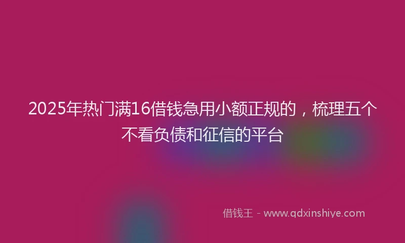 2025年热门满16借钱急用小额正规的，梳理五个不看负债和征信的平台