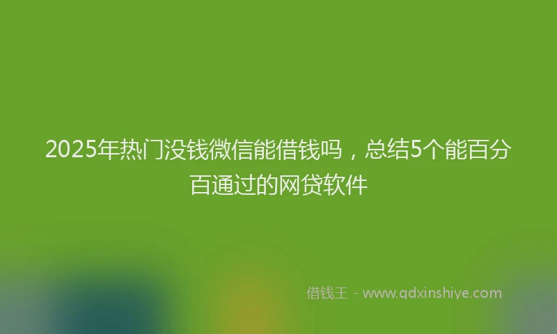 2025年热门没钱微信能借钱吗，总结5个能百分百通过的网贷软件