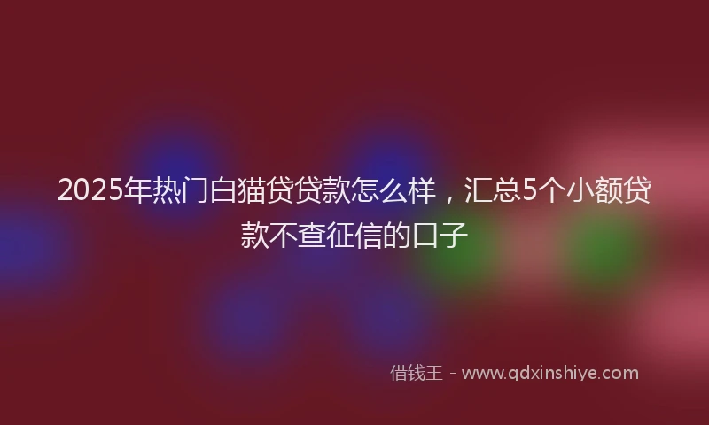 2025年热门白猫贷贷款怎么样，汇总5个小额贷款不查征信的口子