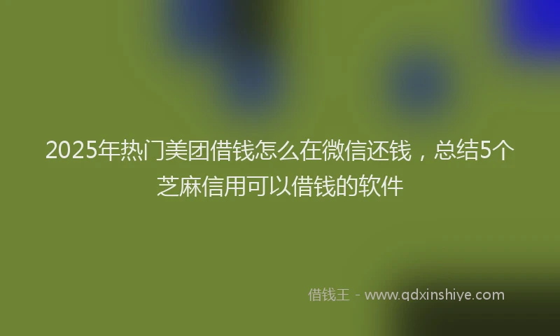 2025年热门美团借钱怎么在微信还钱，总结5个芝麻信用可以借钱的软件