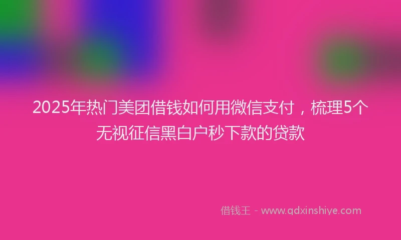 2025年热门美团借钱如何用微信支付，梳理5个无视征信黑白户秒下款的贷款