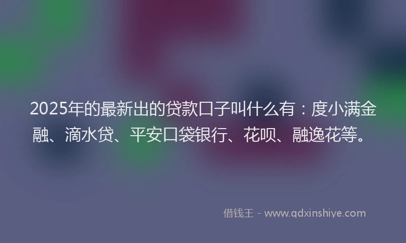 2025年的最新出的贷款口子叫什么有：度小满金融、滴水贷、平安口袋银行、花呗、融逸花等。