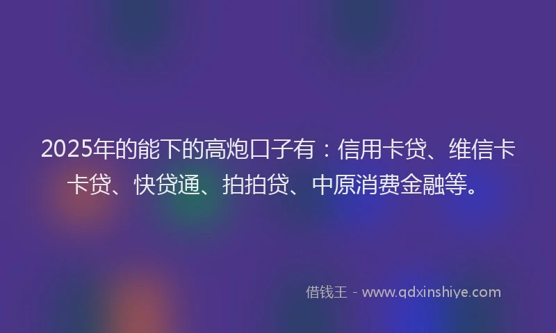 2025年的能下的高炮口子有：信用卡贷、维信卡卡贷、快贷通、拍拍贷、中原消费金融等。