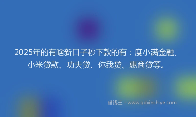 2025年的有啥新口子秒下款的有：度小满金融、小米贷款、功夫贷、你我贷、惠商贷等。