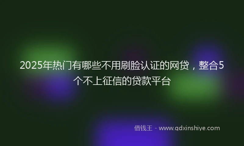 2025年热门有哪些不用刷脸认证的网贷，整合5个不上征信的贷款平台