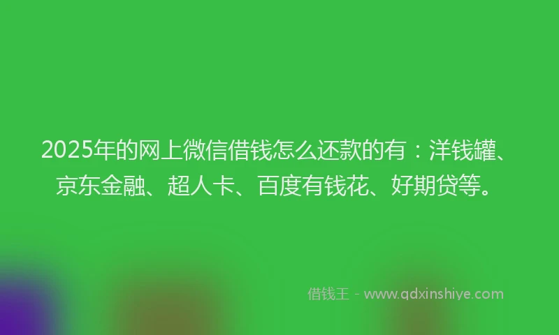 2025年的网上微信借钱怎么还款的有：洋钱罐、京东金融、超人卡、百度有钱花、好期贷等。
